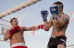 Open Air Boxing_2015_Bout-10-8