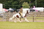 SBM_06202