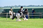 SBM_11563