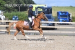 BPP_2099