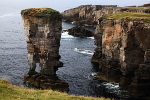 20100901_0276