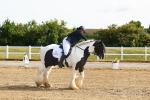 SBM_006993