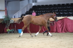 SBM_04961