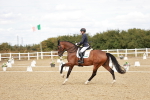 SBM_009572