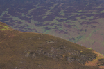 British Fell Relay-672