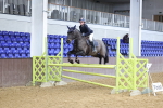 Class 4 - Blue Chip Pony Newcomers - 1.00m portfolio