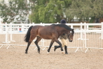 SBM_08500