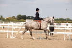 SBM_06719