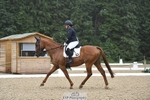 110-Zoe_Porter-Lariats_Point portfolio