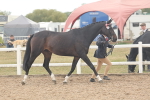 SBM_07631
