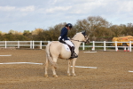 SBM_002781