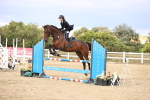 SBM_008871