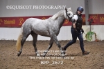 BPP_2672