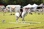 SBM_12775