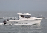 090523 SEA SWAN IMG_1174