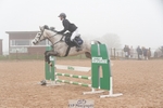 Cls 30 Academy Team Horse 85cm portfolio