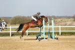 SBM_000219