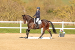 SBM_003513