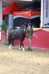 SBM_04091