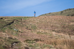 Black Combe-785