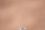 240505A-124232-05798