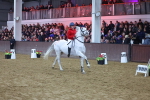 SBM_004589