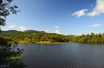 Loch of the Lowes, Perthshire