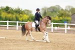 SBM_005982