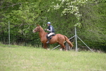 WJ6_1601