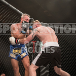 FULL BOAR CAGE FIGHTING 2016 portfolio