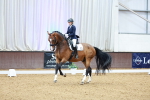 SBM_002864