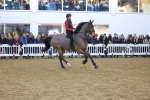 SBM_003377