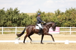 SBM_004131