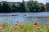 Graham Wiffen - Lymington River from Undershore Rd - DSC_7198a