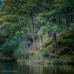 Lake District 018