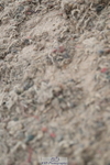 240609A-105333-04190