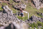 Ilam-425