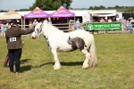 SBM_08619
