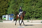 262-TREAMBLE-Finn_Healy-WEDTrotUp+DR portfolio