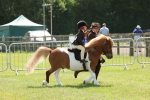 SBM_05431