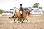 SBM_00642