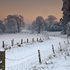 Winter Wonderland