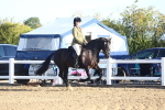 SBM_07872