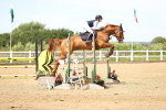 SBM_004465
