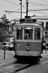 Carmo 22