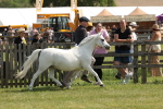SBM_02392