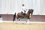 SBM_000290