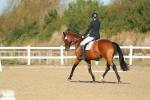 SBM_000628