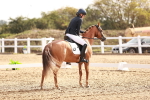 SBM_016922