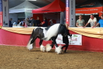 SBM_18464